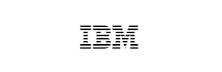 IBM [NYSE:IBM]